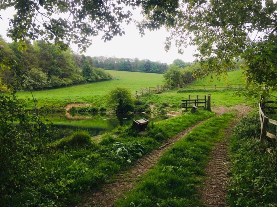 Holly Cottage, Hidden Gem In The Yorkshire Wolds Welton  Extérieur photo